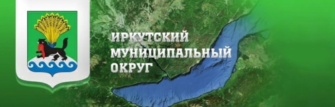 Логотип ФПМСП Иркутского района